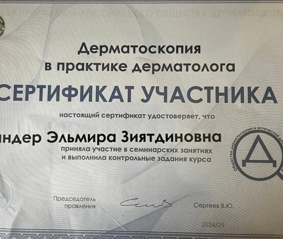 Шандер Эльмира Зиятдиновна  - сертификаты и дипломы