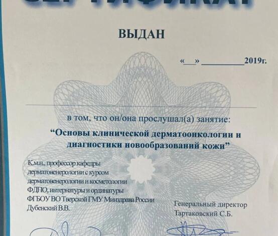 Шандер Эльмира Зиятдиновна  - сертификаты и дипломы