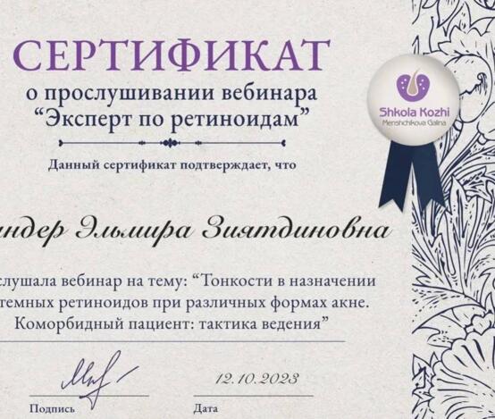 Шандер Эльмира Зиятдиновна  - сертификаты и дипломы