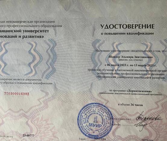 Шандер Эльмира Зиятдиновна  - сертификаты и дипломы