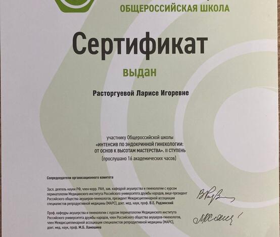 Расторгуева Лариса Игоревна  - сертификаты и дипломы
