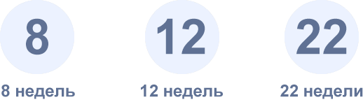 Ведение беременности с 8, 12, 22 недель