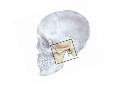 Изображение - Рентген височно челюстного сустава 42694240e200eab29f9167b052ad3919