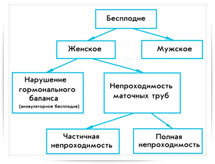 Бесплодие Бесплодие