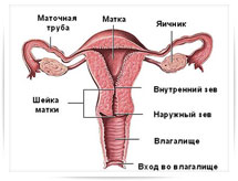 Эрозия