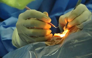 Аллергология